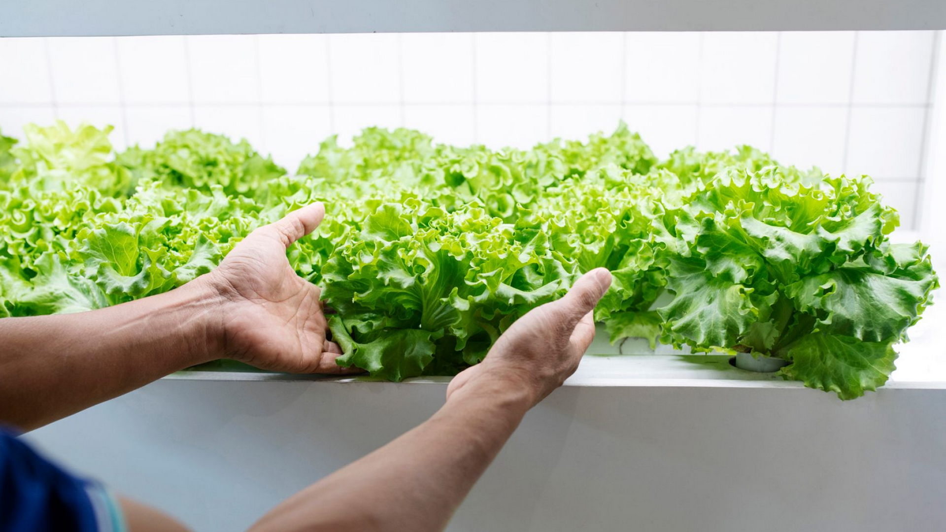 Empresa de Tecnologías verdes