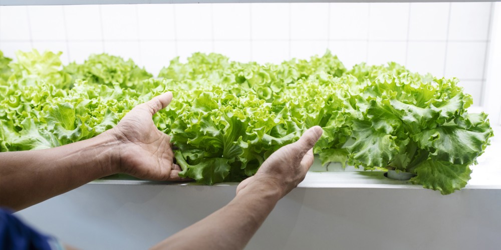 Auditorías energéticas