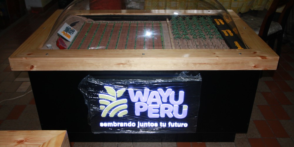 Modelado e impresión 3D (maquetas físicas)