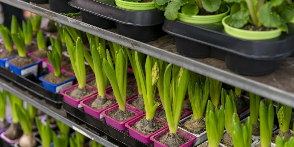 Certificaciones LEED/BREEAM