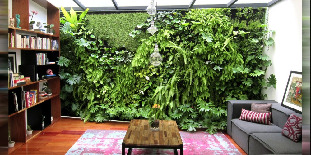 Techos y muros verdes